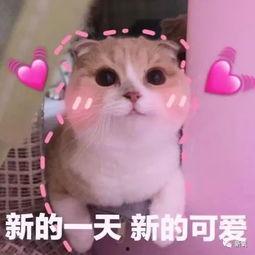 羊了羊娱乐吃瓜,揭秘娱乐圈吃瓜背后的真相  第2张