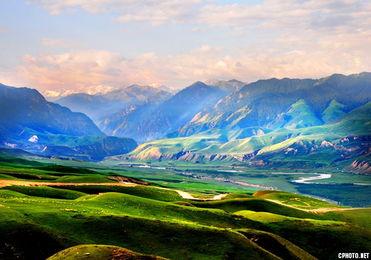 青草国产在线  第3张