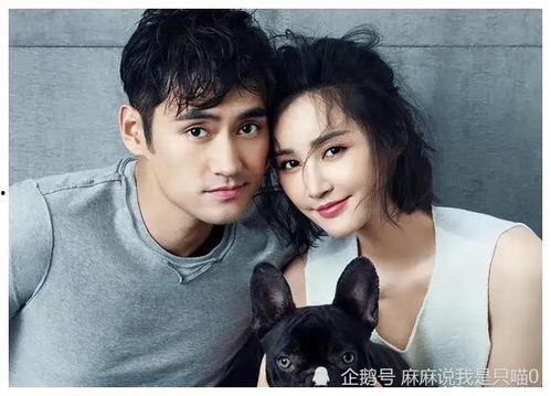 女主在娱乐圈里吃瓜,女主的吃瓜日常  第2张