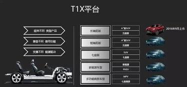 国产精品自在线,探索国内影视作品的魅力与风采  第3张