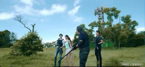 国产鸡情,探寻我国鸡肉产业的崛起之路  第2张