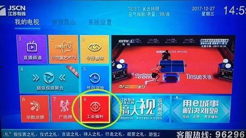 国产福利视频导航  第1张